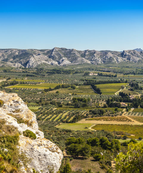 Visiter les Alpilles