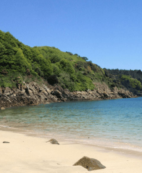 Visiter les plages Napoléon 