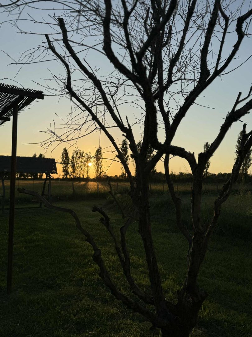 Messenger_creation_3EDC3C52-6DD8-4DD4-AA90-E71ED5C9020C