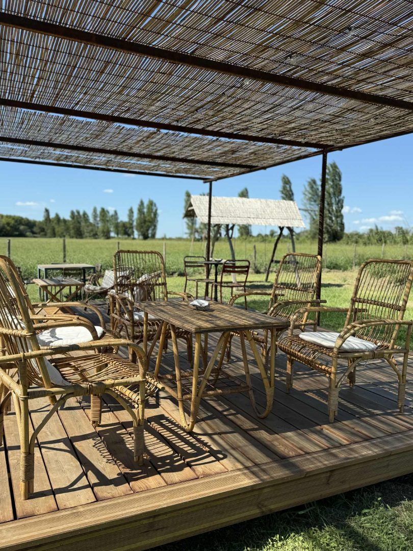 Messenger_creation_555E2327-7712-408F-8249-7E794B43EB07